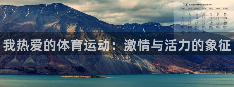 我热爱的体育运动：激情与活力的象征