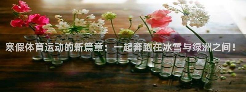 寒假体育运动的新篇章：一起奔跑在冰雪与绿洲之间！