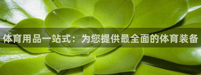 体育用品一站式：为您提供最全面的体育装备